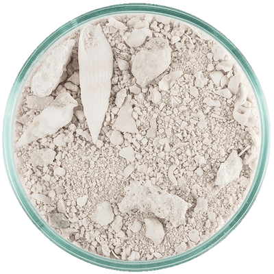 CaribSea Ocean Direct Original Grade, Live Sand.