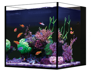 Red Sea Desktop Nano Aquarium 