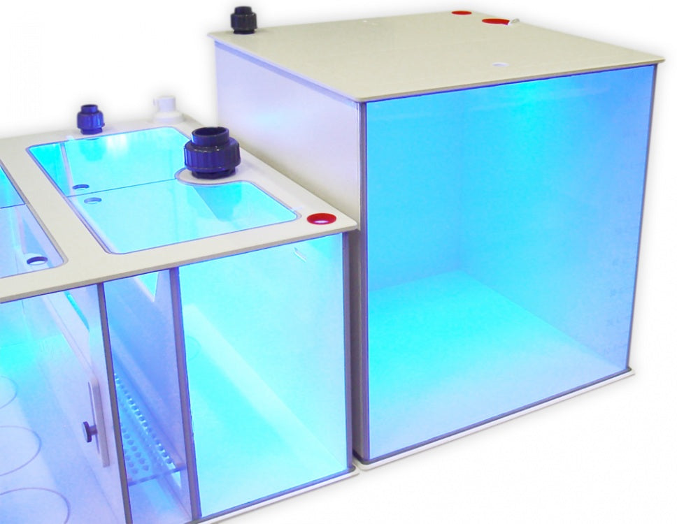 Royal Exclusiv Dreambox Wassertank Osmose 49*40*50cm 80 Liter Volumen LED Beleuchtung
