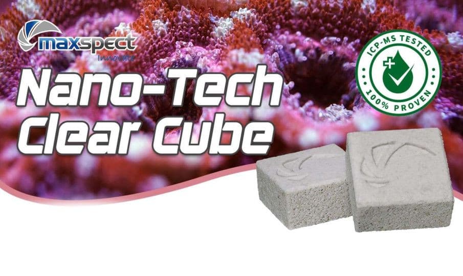 Maxspect Nano Tech Clear Cube