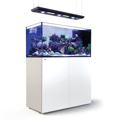 Red Sea Reefer Peninsula Deluxe mit Reef Led 160S incl. Fracht.