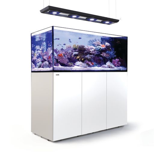 Red Sea Reefer Peninsula Deluxe mit Reef Led 160S incl. Fracht.