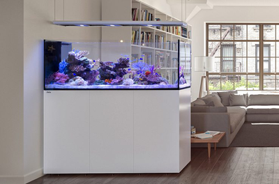 Red Sea Reefer Peninsula Deluxe mit Reef Led 160S incl. Fracht.