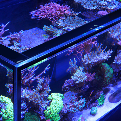 Red Sea REEFER™ S G2 Aquarium incl. Fracht.
