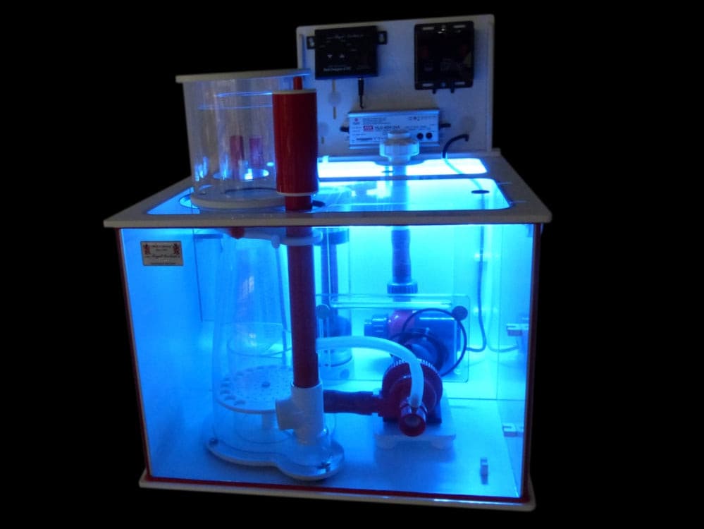 Royal Exclusiv STEP Dreambox Filteranlage Technikbecken.